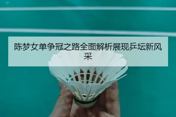 陈梦女单争冠之路全面解析展现乒坛新风采