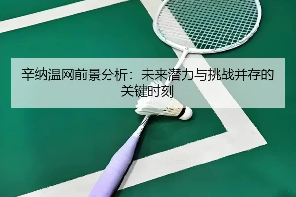 辛纳温网前景分析：未来潜力与挑战并存的关键时刻